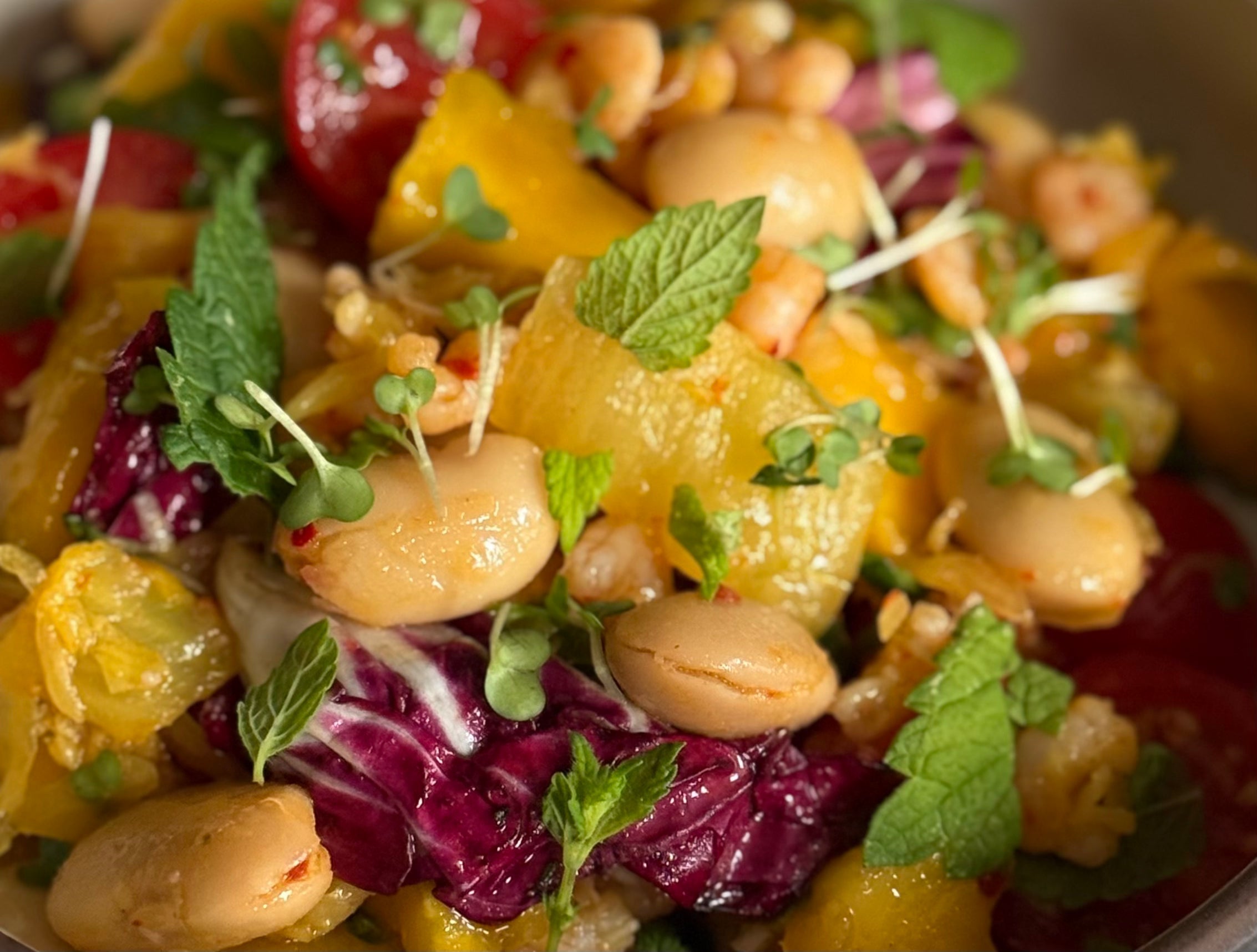 New Tropic Summer Salad with Mango & Beans