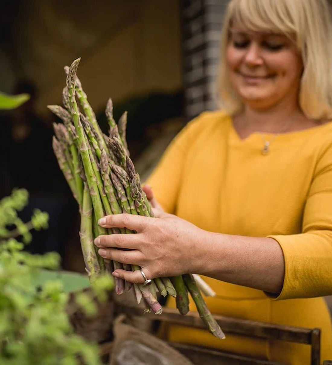  The roots of Fermary were planted long before the first jar was ever filled. 