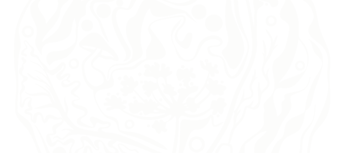  background icon 